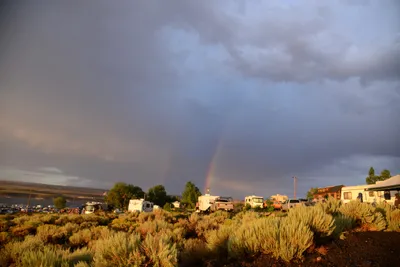 DSC_3308 (Large).JPG